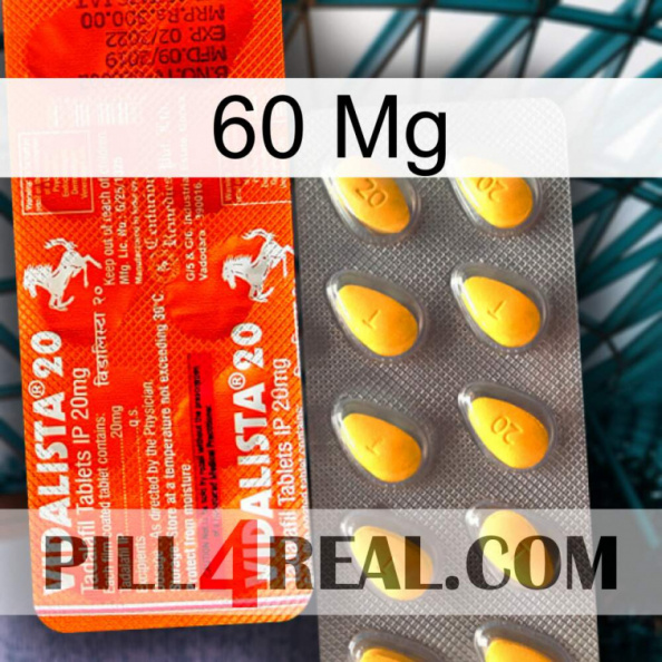 60 Mg new01.jpg